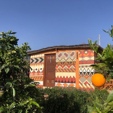 Afrikan Krisant Tenerife, Casa Rural Ecologica Arafo Luaran gambar