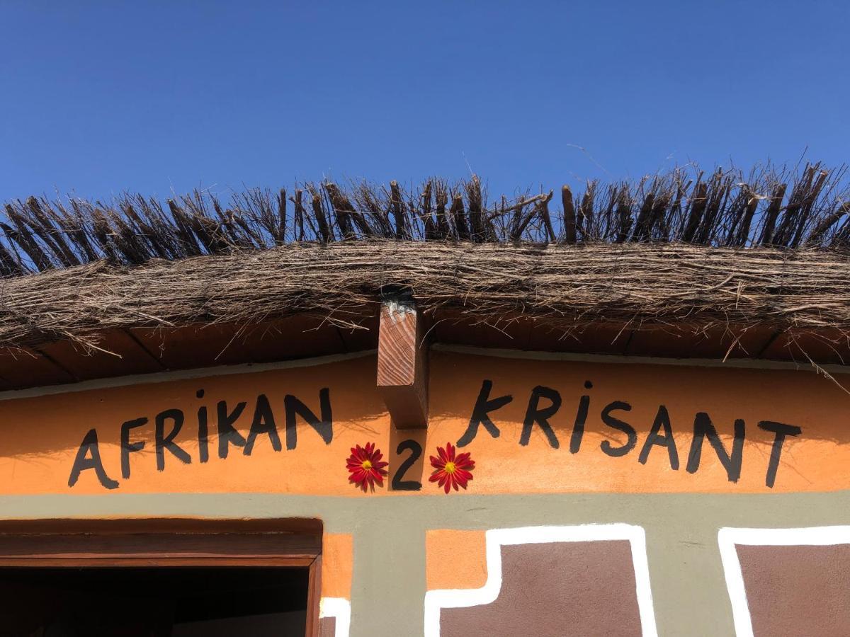 Afrikan Krisant Tenerife, Casa Rural Ecologica Arafo Luaran gambar