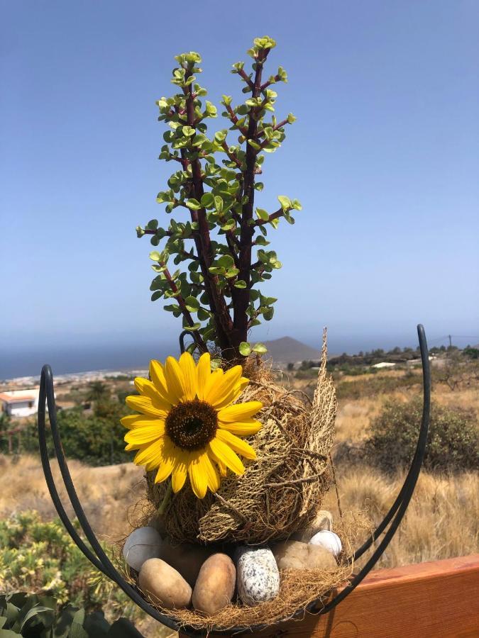 Afrikan Krisant Tenerife, Casa Rural Ecologica Arafo Luaran gambar
