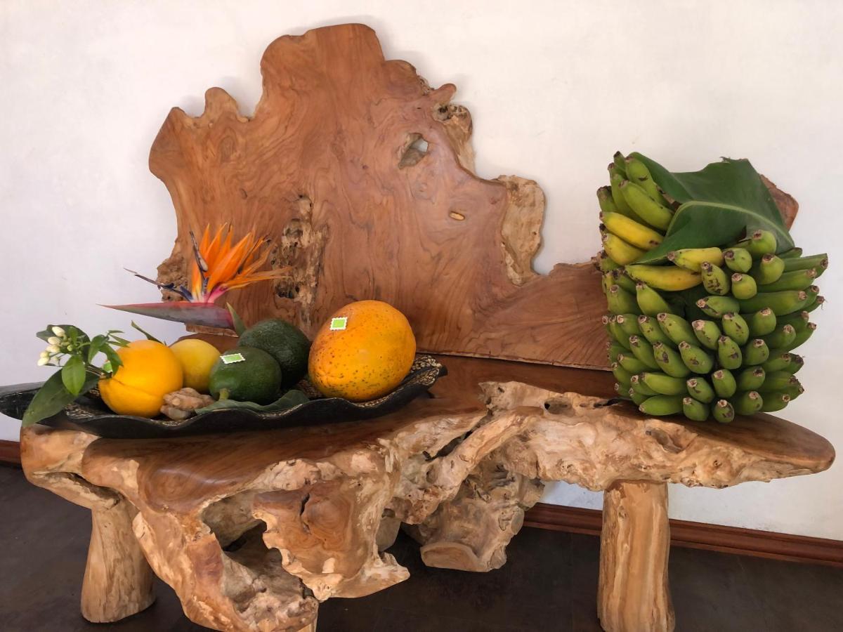 Afrikan Krisant Tenerife, Casa Rural Ecologica Arafo Luaran gambar