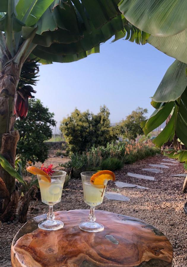 Afrikan Krisant Tenerife, Casa Rural Ecologica Arafo Luaran gambar