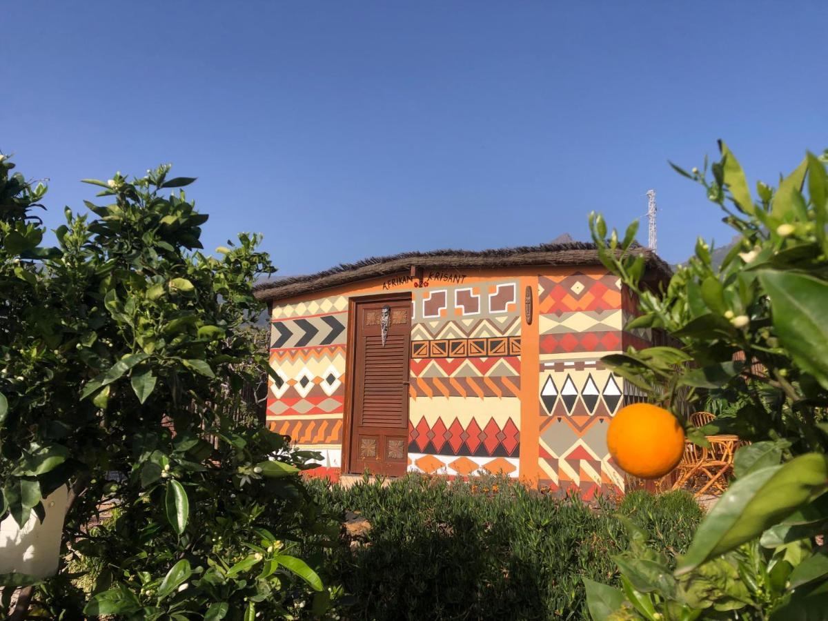 Afrikan Krisant Tenerife, Casa Rural Ecologica Arafo Luaran gambar
