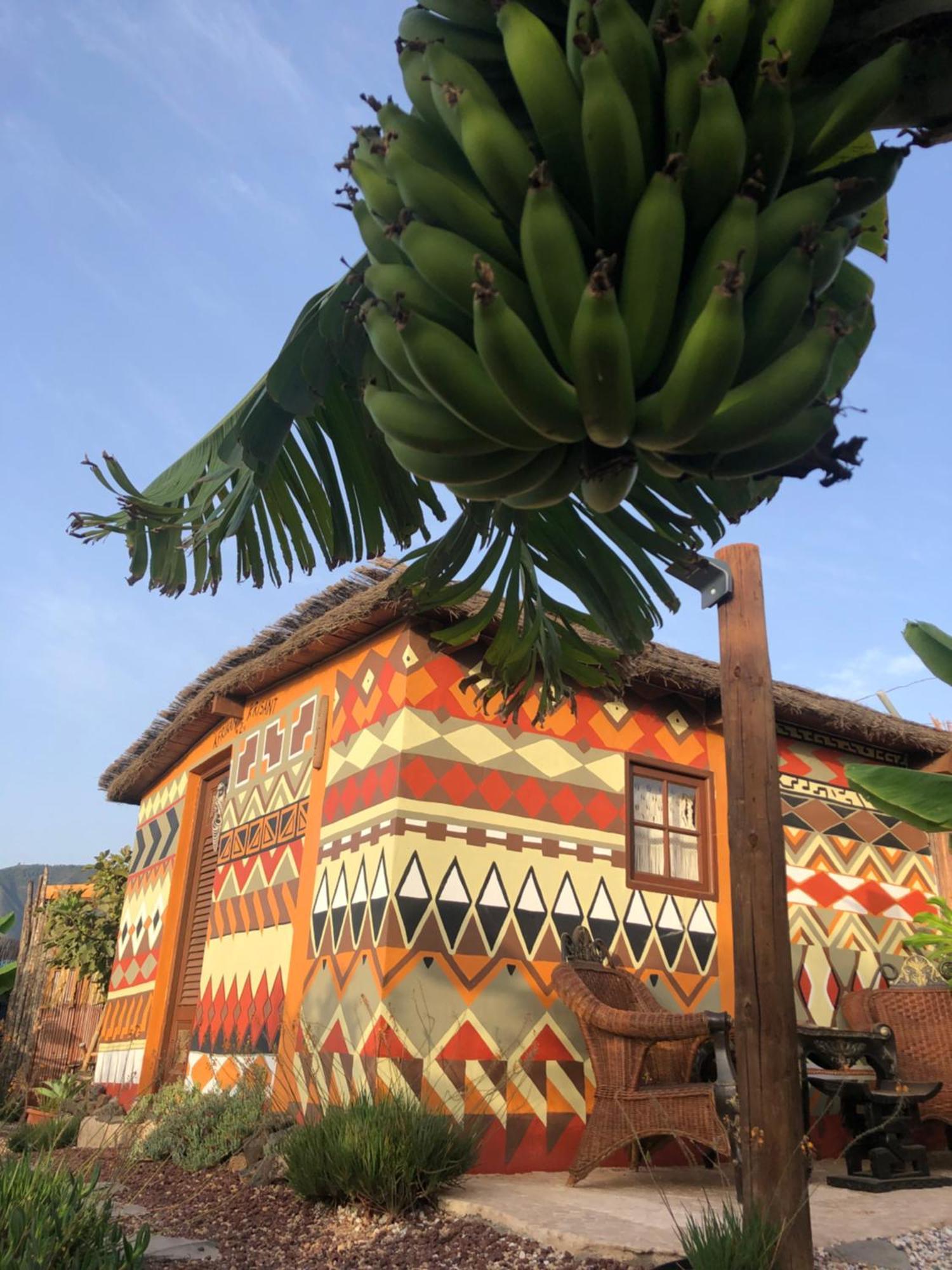 Afrikan Krisant Tenerife, Casa Rural Ecologica Arafo Luaran gambar