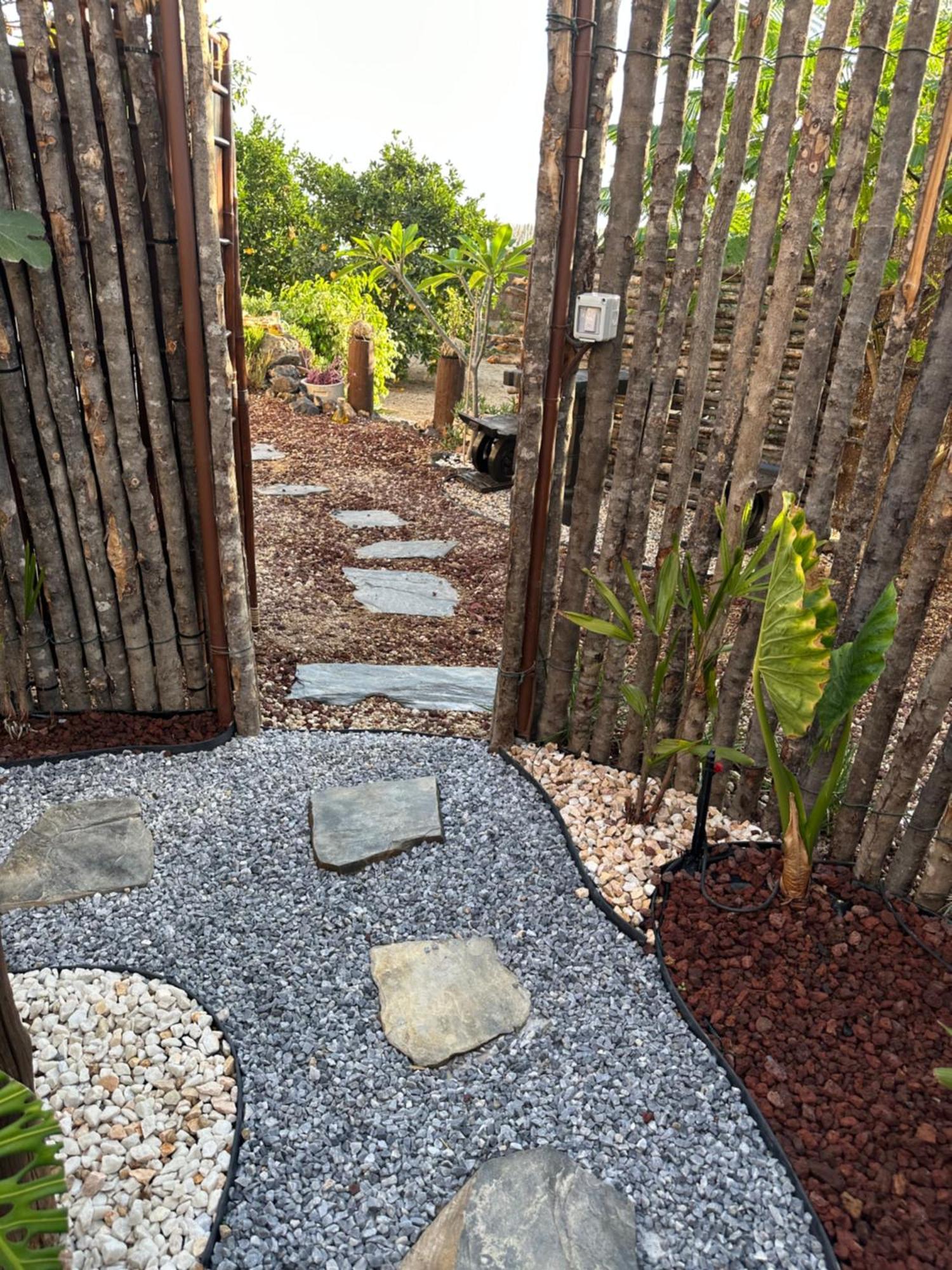 Afrikan Krisant Tenerife, Casa Rural Ecologica Arafo Luaran gambar