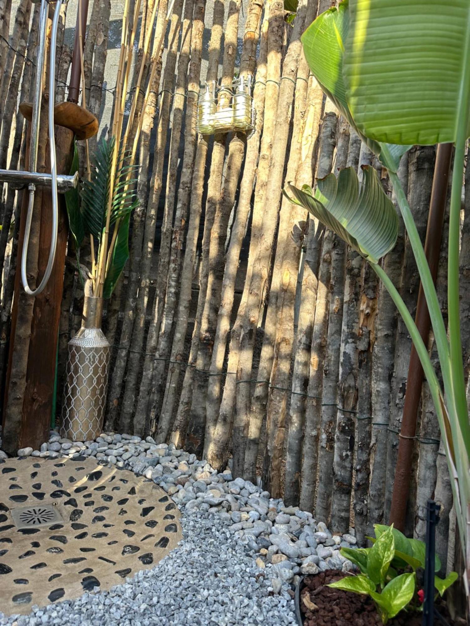 Afrikan Krisant Tenerife, Casa Rural Ecologica Arafo Luaran gambar