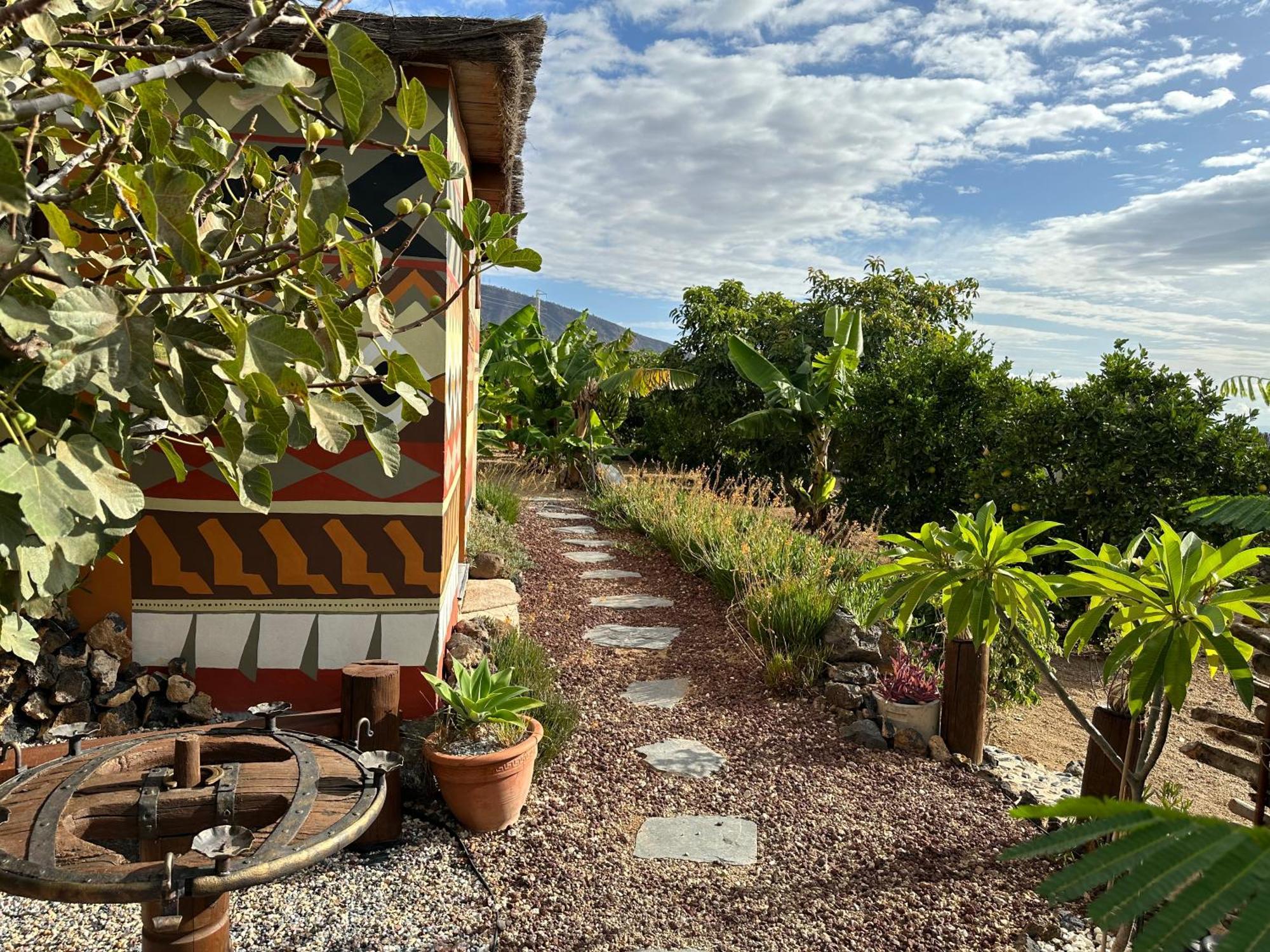 Afrikan Krisant Tenerife, Casa Rural Ecologica Arafo Luaran gambar